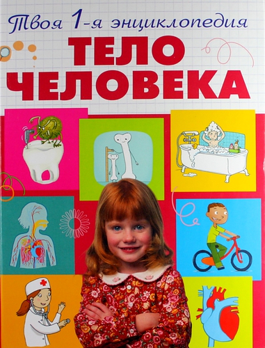 Тело человека