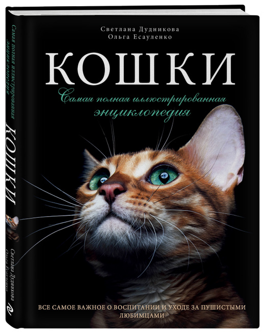 Кошки.