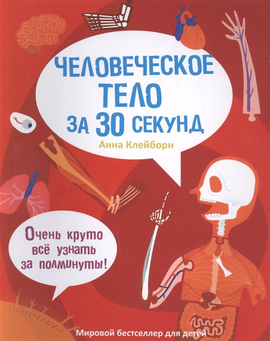 Человеческое тело за 30 секунд