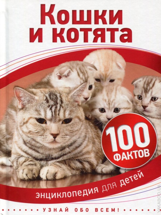 Кошки и котята. 100 фактов