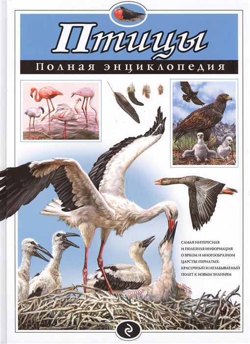 Птицы. Полная энциклопедия 