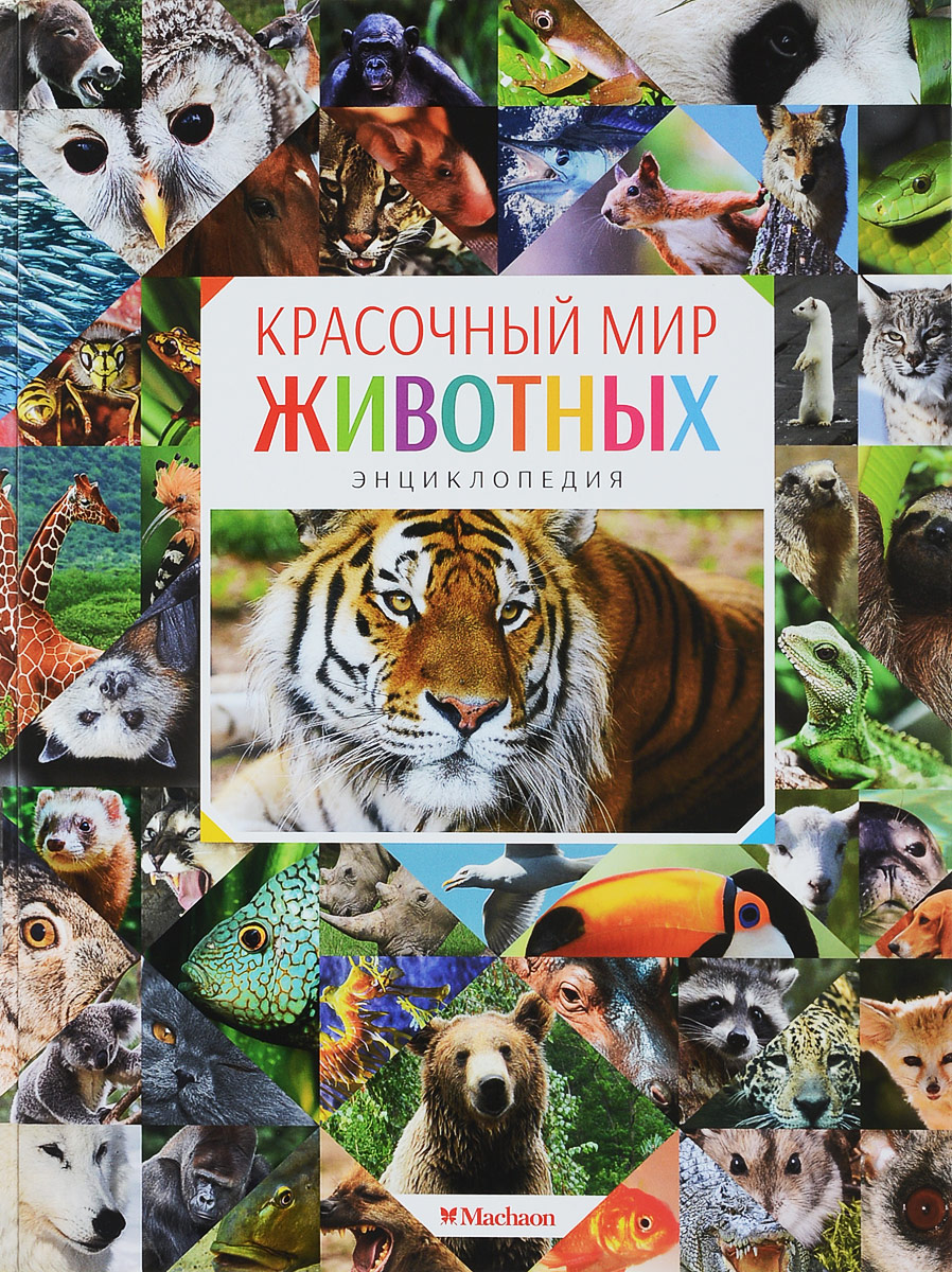 Красочный мир животных. Энциклопедия