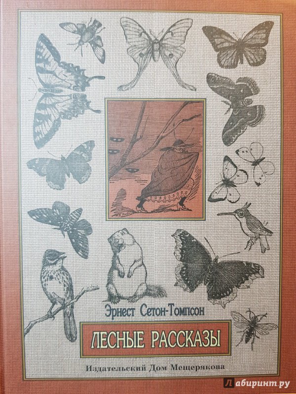 Лесные рассказы